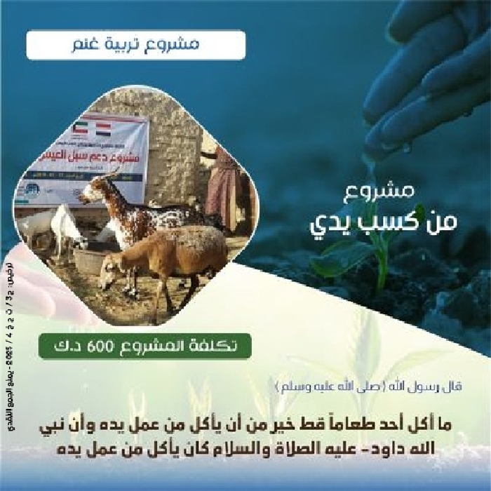 صورة مشروع تربية حيوانات غنم 